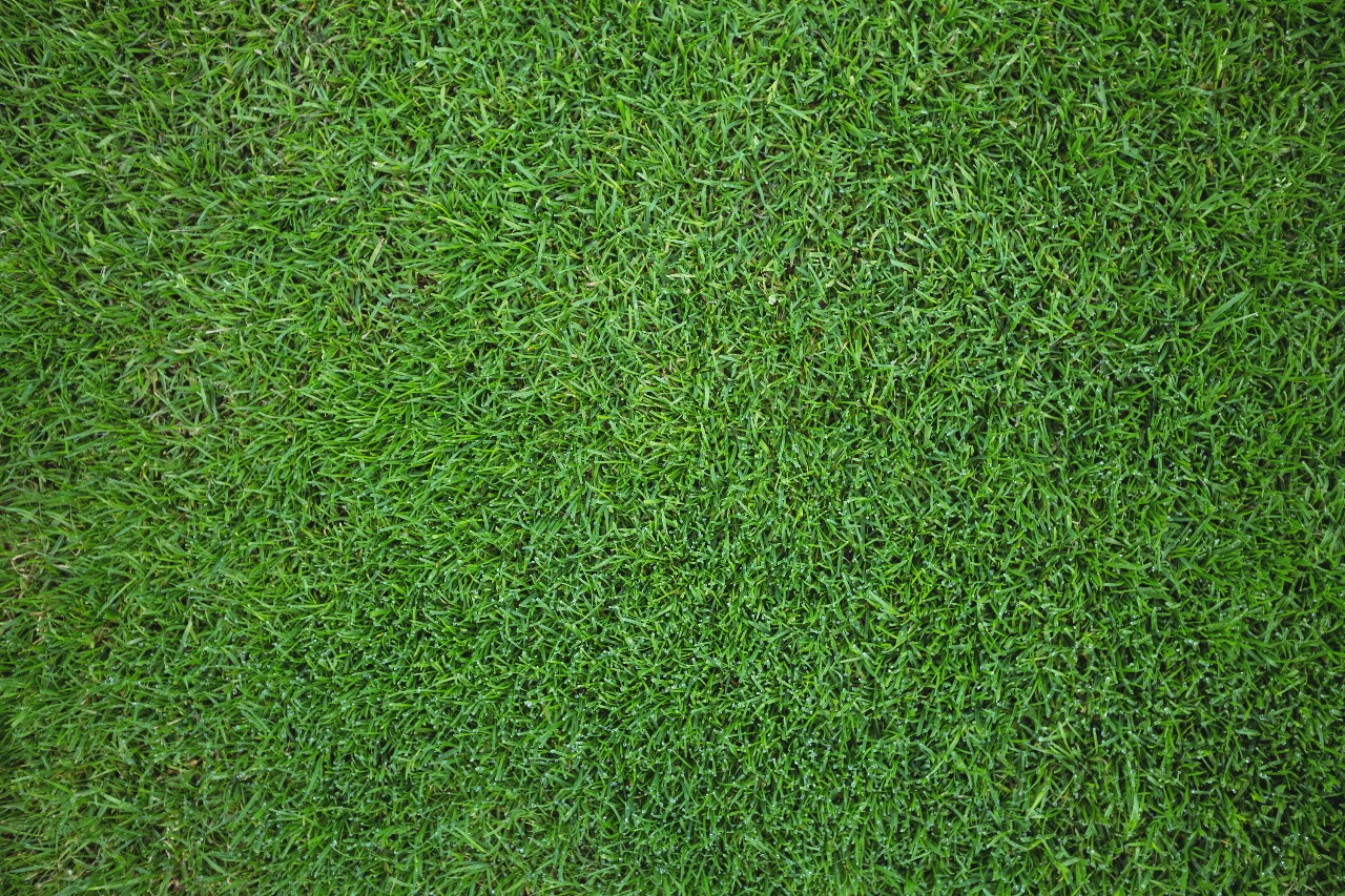 Artificial Turf Installation