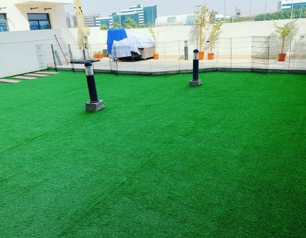 Grass Design 3